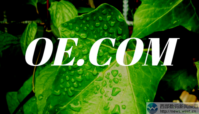 ����ĸ����OE.COM