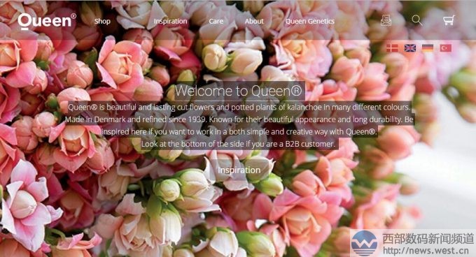 �r���K�˱��з���ٳ���������r��800�f��Queen.com�Ԛw��������