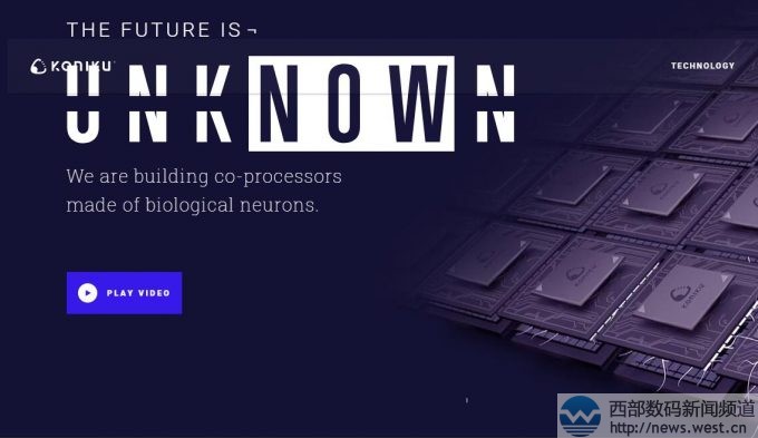 為了升級!終端花20萬元從MikeMann手上買了這個域名